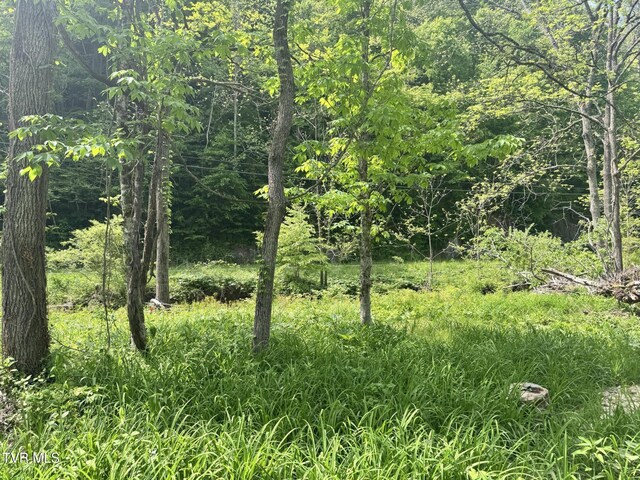 4090 Old Asheville Hwy, Flag Pond, TN 37657 - photo 40