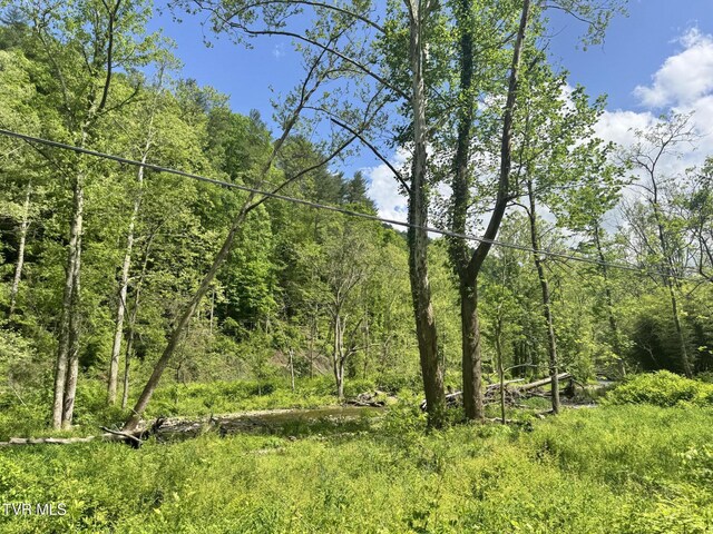 4090 Old Asheville Hwy, Flag Pond, TN 37657 - photo 41