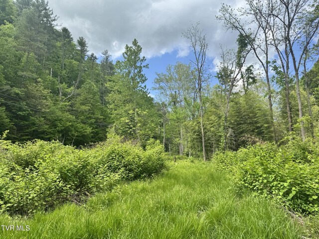 4090 Old Asheville Hwy, Flag Pond, TN 37657 - photo 42