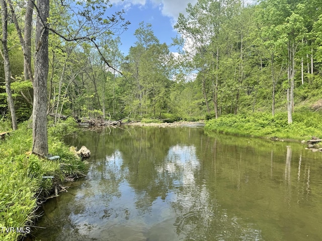 4090 Old Asheville Hwy, Flag Pond, TN 37657 - photo 43