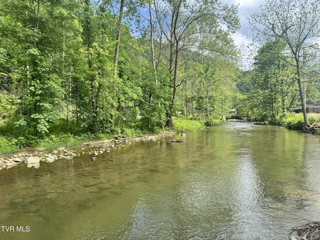 4090 Old Asheville Hwy, Flag Pond, TN 37657 - photo 1