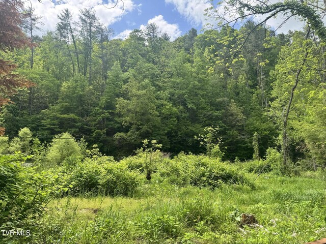 4090 Old Asheville Hwy, Flag Pond, TN 37657 - photo 44
