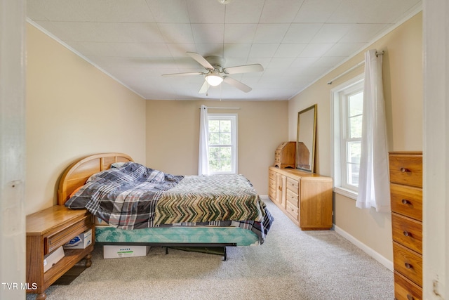 894 Mountain View Rd, Rogersville, TN 37857 - bedroom with crown molding, carpet, ceiling fan, and baseboards