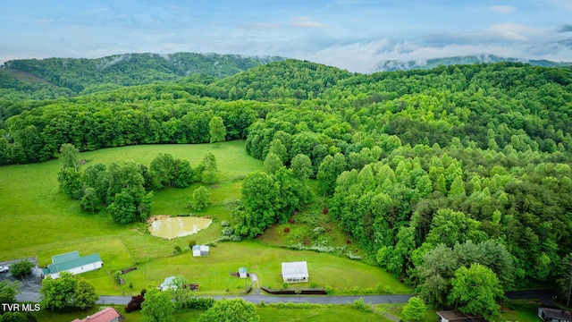 894 Mountain View Rd, Rogersville, TN 37857 - bird's eye view of a heavily wooded area and a mountainous background
