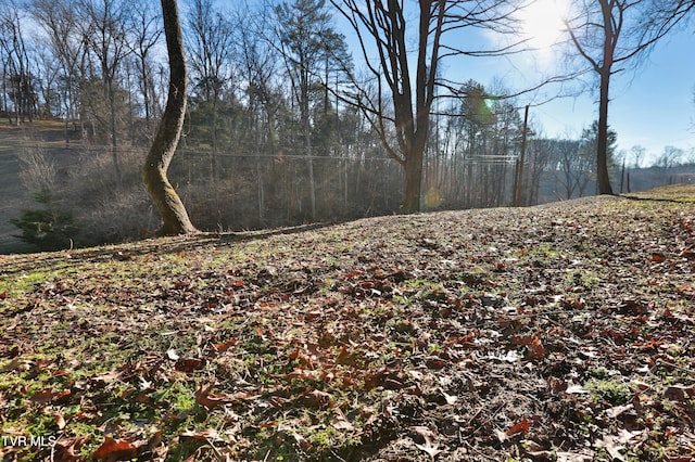 201 Andover Dr, Bristol, VA 24201 - view of local wilderness