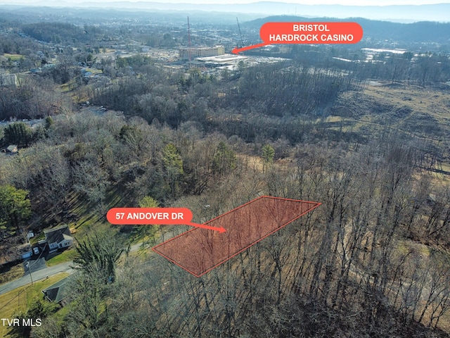 201 Andover Dr, Bristol, VA 24201 - aerial view of property and surrounding area featuring property boundaries highlighted and a heavily wooded area