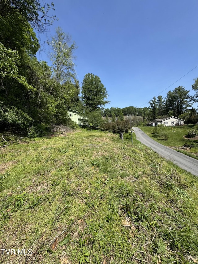 201 Andover Dr, Bristol, VA 24201 - view of yard