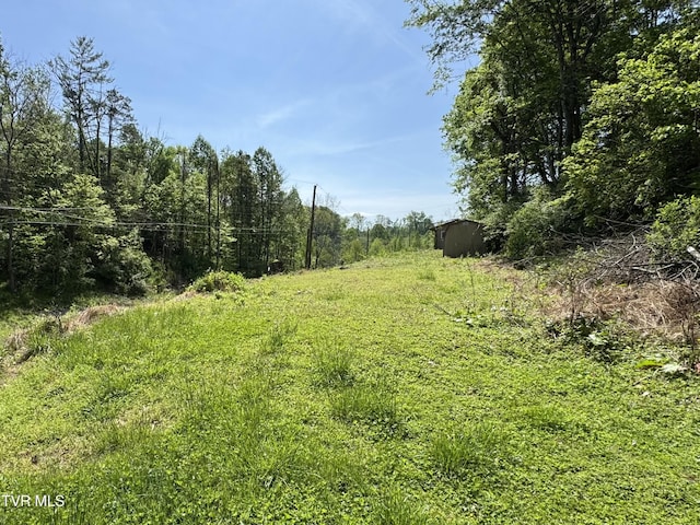201 Andover Dr, Bristol, VA 24201 - view of yard