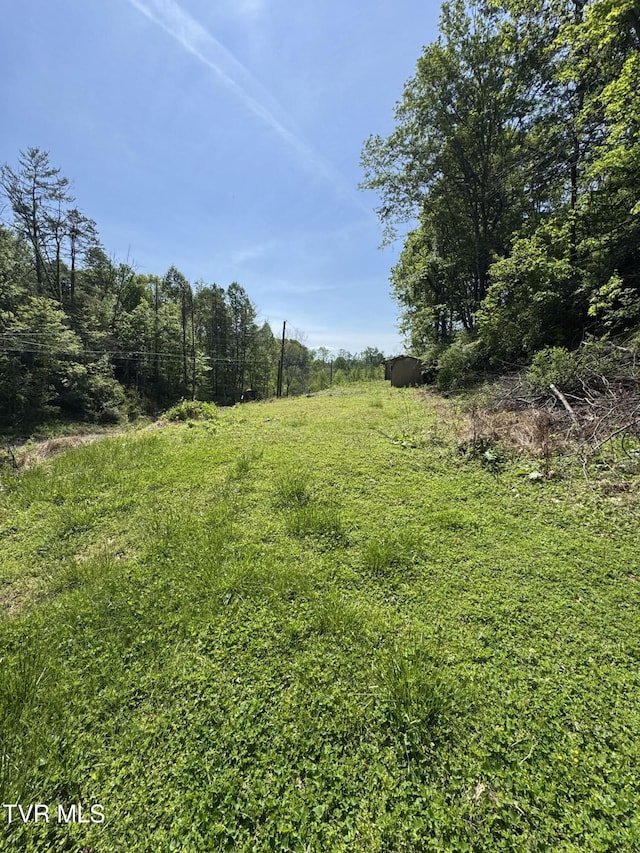 201 Andover Dr, Bristol, VA 24201 - view of yard