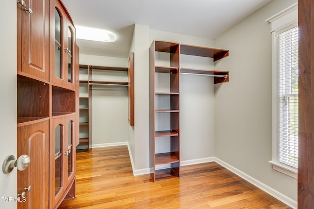 20484 Lake Rd, Abingdon, VA 24211 - walk in closet with light wood-style flooring