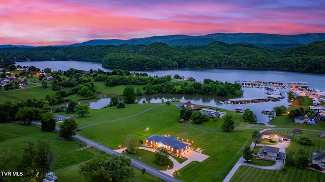 20484 Lake Rd, Abingdon, VA 24211 - bird's eye view of a water and mountain view and a forest