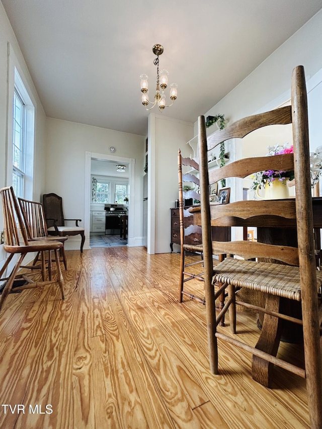407 W Irish St, Greeneville, TN 37743 - photo 19