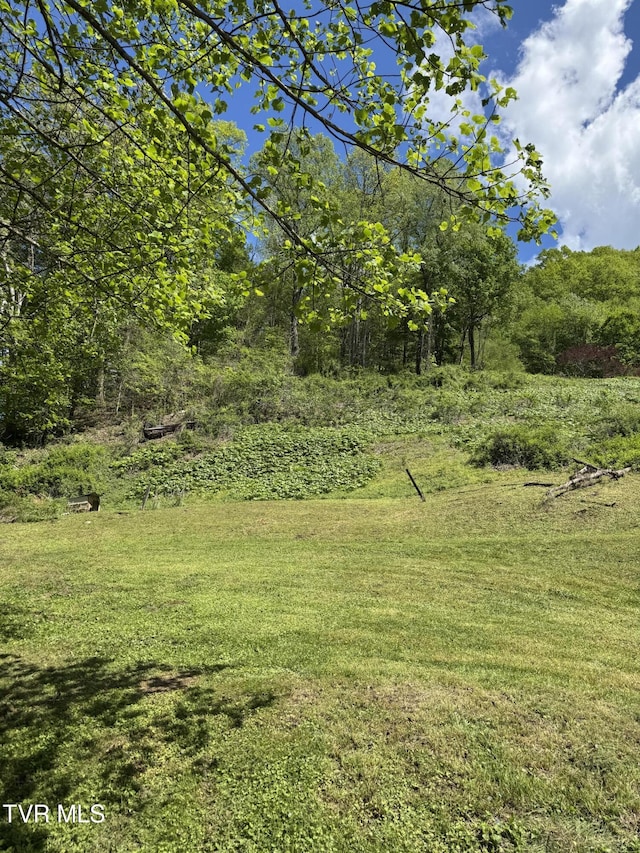 11590 Cedar Rd, Pound, VA 24279 - view of green lawn