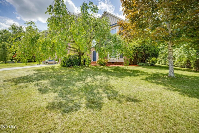 3502 Bondwood Cir, Johnson City, TN 37604 - view of green lawn