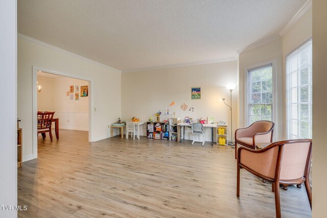 3502 Bondwood Cir, Johnson City, TN 37604 - living area with ornamental molding, light wood-type flooring, a textured ceiling, and baseboards
