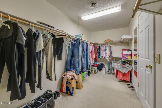 3502 Bondwood Cir, Johnson City, TN 37604 - walk in closet with carpet