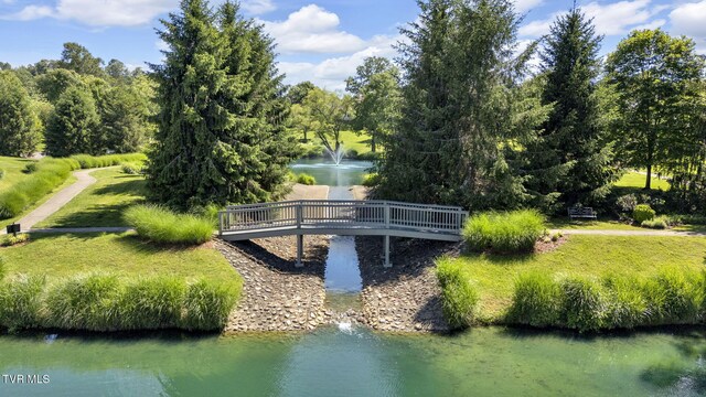 5 Fox Run Ln, Johnson City, TN 37604 - surrounding community featuring a water view
