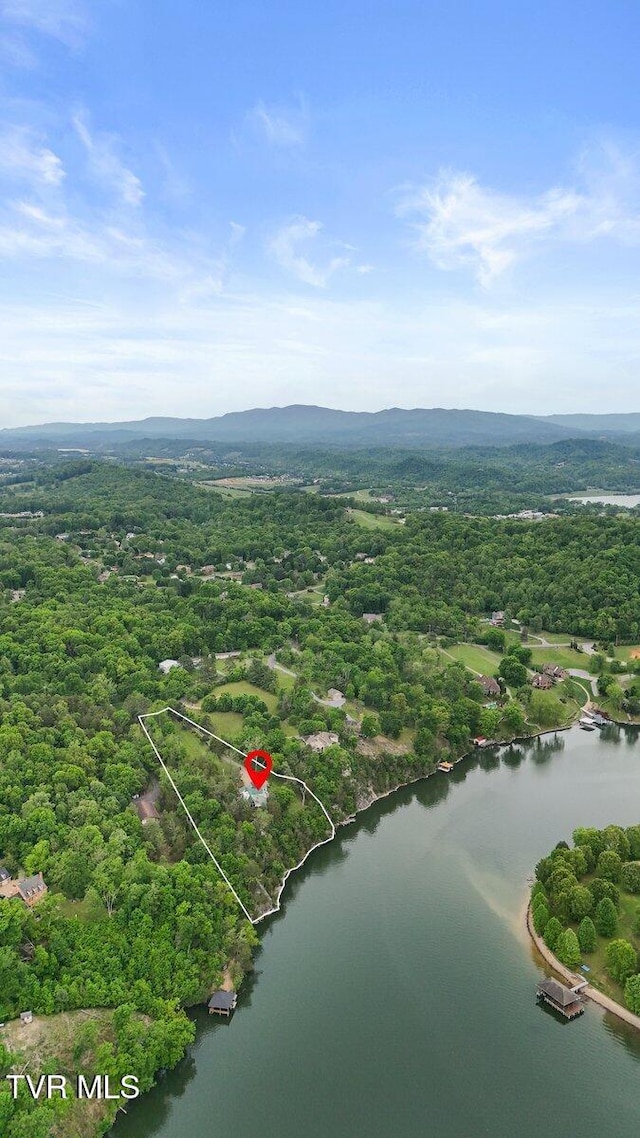aerial view of property's location with a large body of water, a forest, and property boundaries highlighted