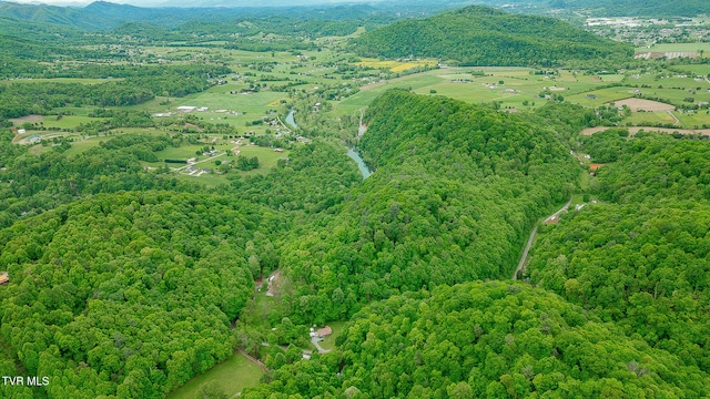 394 Bishop Hollow Rd, Elizabethton, TN 37643 - photo 2