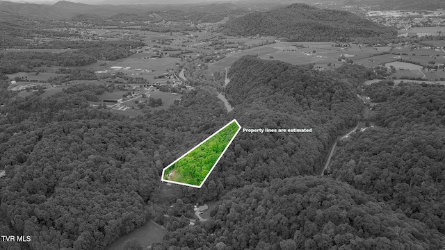 394 Bishop Hollow Rd, Elizabethton, TN 37643 - photo 3