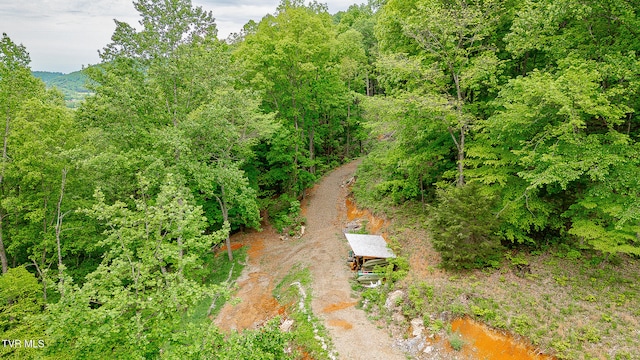 394 Bishop Hollow Rd, Elizabethton, TN 37643 - photo 9
