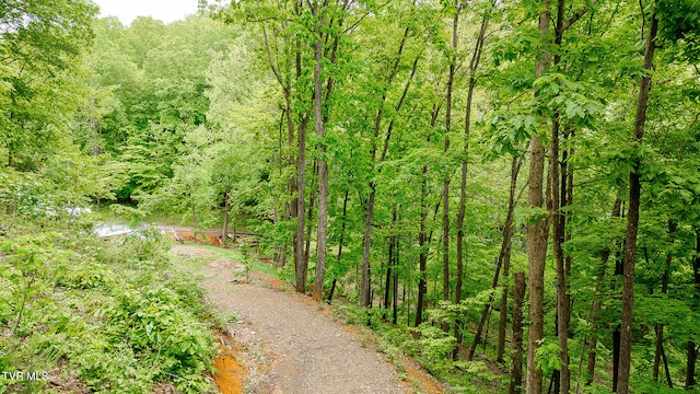 394 Bishop Hollow Rd, Elizabethton, TN 37643 - photo 11