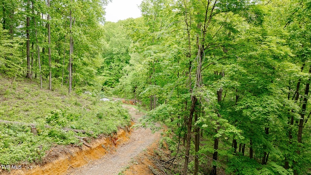 394 Bishop Hollow Rd, Elizabethton, TN 37643 - photo 12