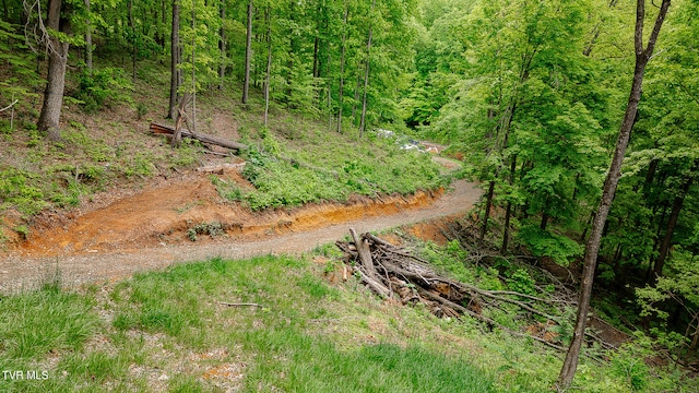 394 Bishop Hollow Rd, Elizabethton, TN 37643 - photo 13