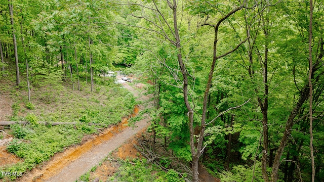 394 Bishop Hollow Rd, Elizabethton, TN 37643 - photo 14