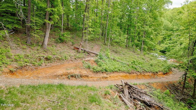 394 Bishop Hollow Rd, Elizabethton, TN 37643 - photo 15
