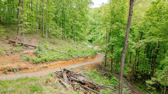 394 Bishop Hollow Rd, Elizabethton, TN 37643 - photo 16
