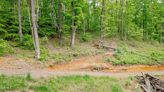 394 Bishop Hollow Rd, Elizabethton, TN 37643 - photo 17