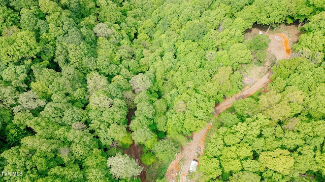 394 Bishop Hollow Rd, Elizabethton, TN 37643 - photo 18