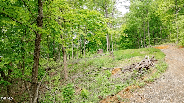 394 Bishop Hollow Rd, Elizabethton, TN 37643 - photo 19
