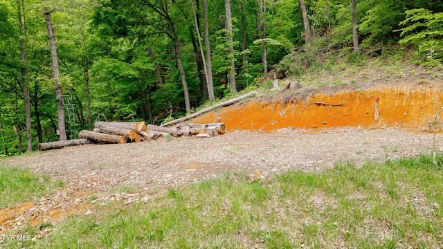 394 Bishop Hollow Rd, Elizabethton, TN 37643 - photo 20
