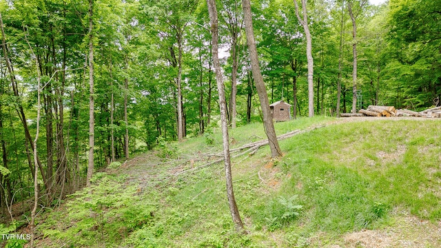 394 Bishop Hollow Rd, Elizabethton, TN 37643 - photo 22