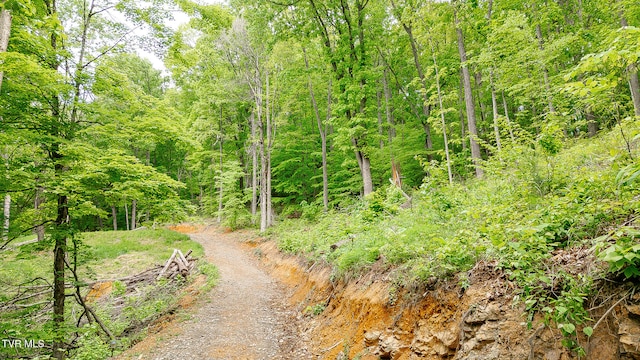 394 Bishop Hollow Rd, Elizabethton, TN 37643 - photo 23