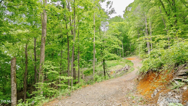 394 Bishop Hollow Rd, Elizabethton, TN 37643 - photo 24