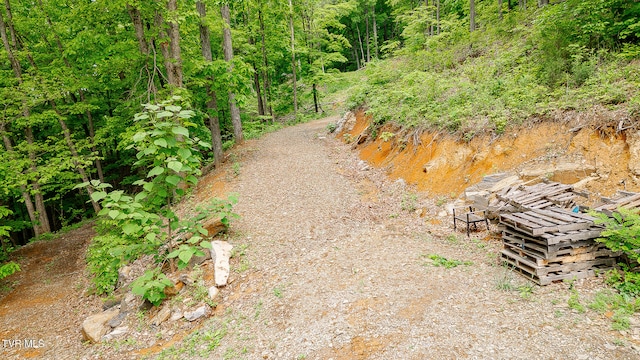 394 Bishop Hollow Rd, Elizabethton, TN 37643 - photo 25