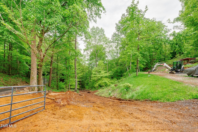 394 Bishop Hollow Rd, Elizabethton, TN 37643 - photo 38