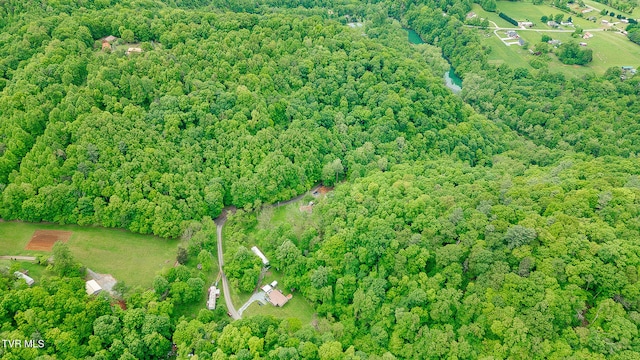 394 Bishop Hollow Rd, Elizabethton, TN 37643 - photo 41