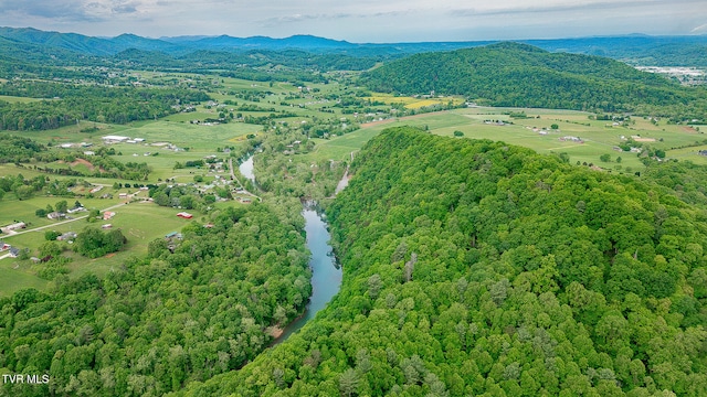 394 Bishop Hollow Rd, Elizabethton, TN 37643 - photo 42