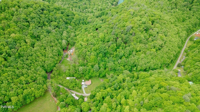 394 Bishop Hollow Rd, Elizabethton, TN 37643 - photo 43