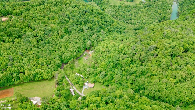 394 Bishop Hollow Rd, Elizabethton, TN 37643 - photo 44