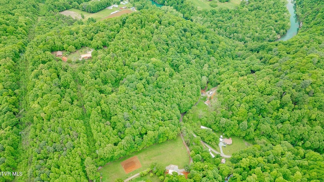 394 Bishop Hollow Rd, Elizabethton, TN 37643 - photo 45