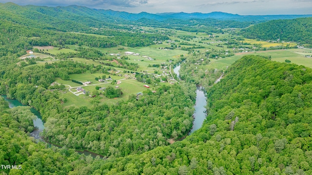 394 Bishop Hollow Rd, Elizabethton, TN 37643 - photo 46