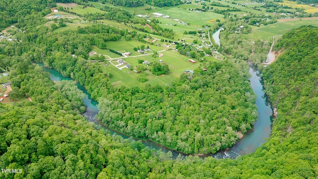 394 Bishop Hollow Rd, Elizabethton, TN 37643 - photo 47