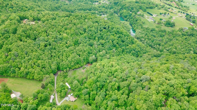 394 Bishop Hollow Rd, Elizabethton, TN 37643 - photo 48