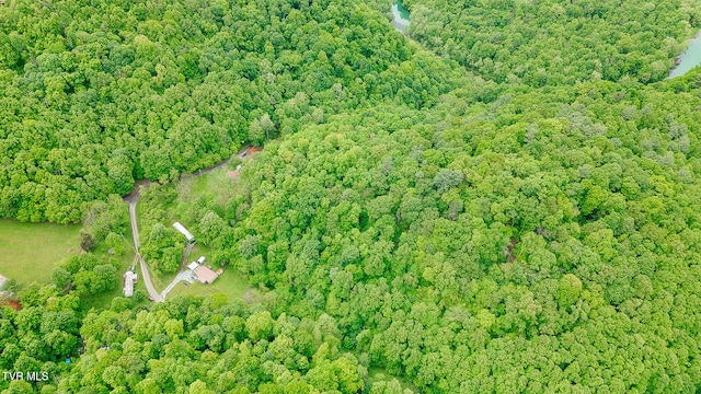 394 Bishop Hollow Rd, Elizabethton, TN 37643 - photo 49