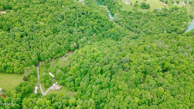 394 Bishop Hollow Rd, Elizabethton, TN 37643 - photo 50